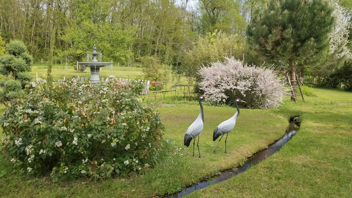 Attirer les oiseaux au jardin, le bon tuyau