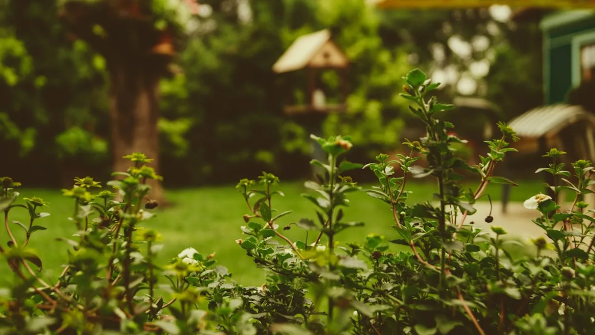 Petit jardin anglais de ville : créer un cottage en 30 m2