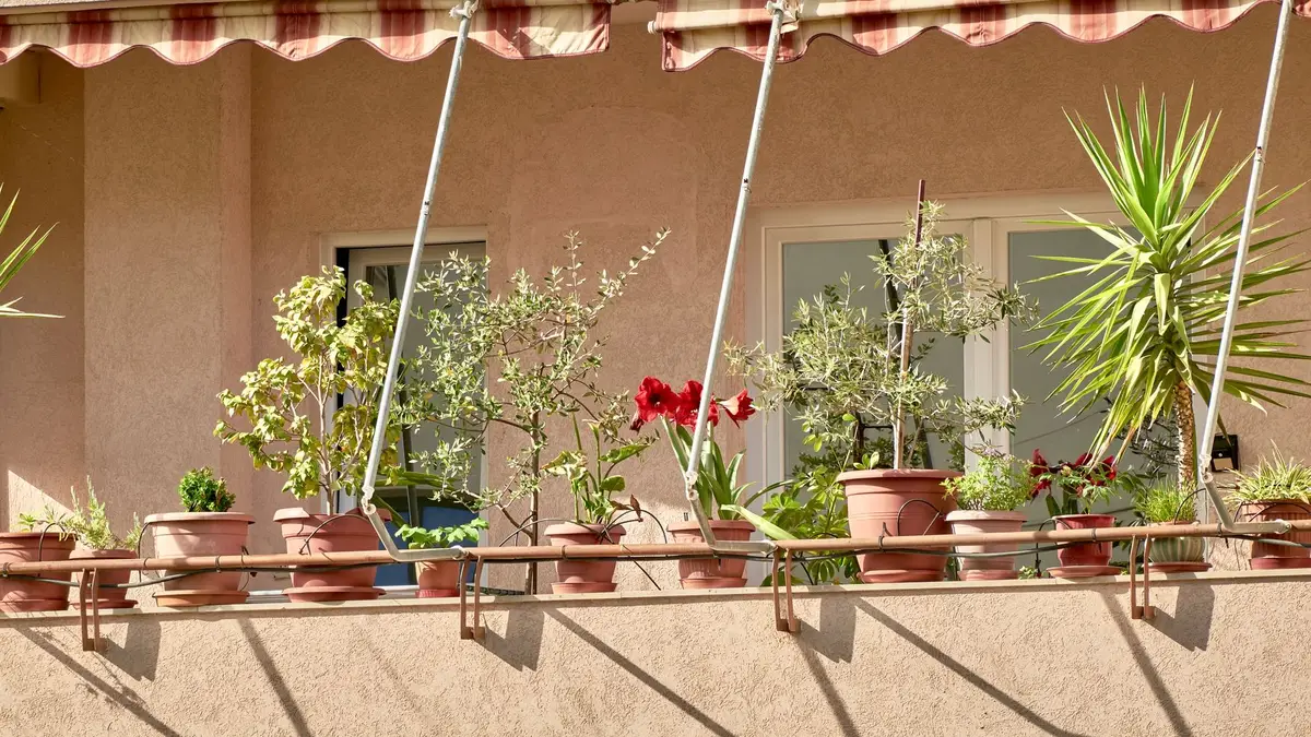 Fleurir un balcon plein soleil, le bon tuyau