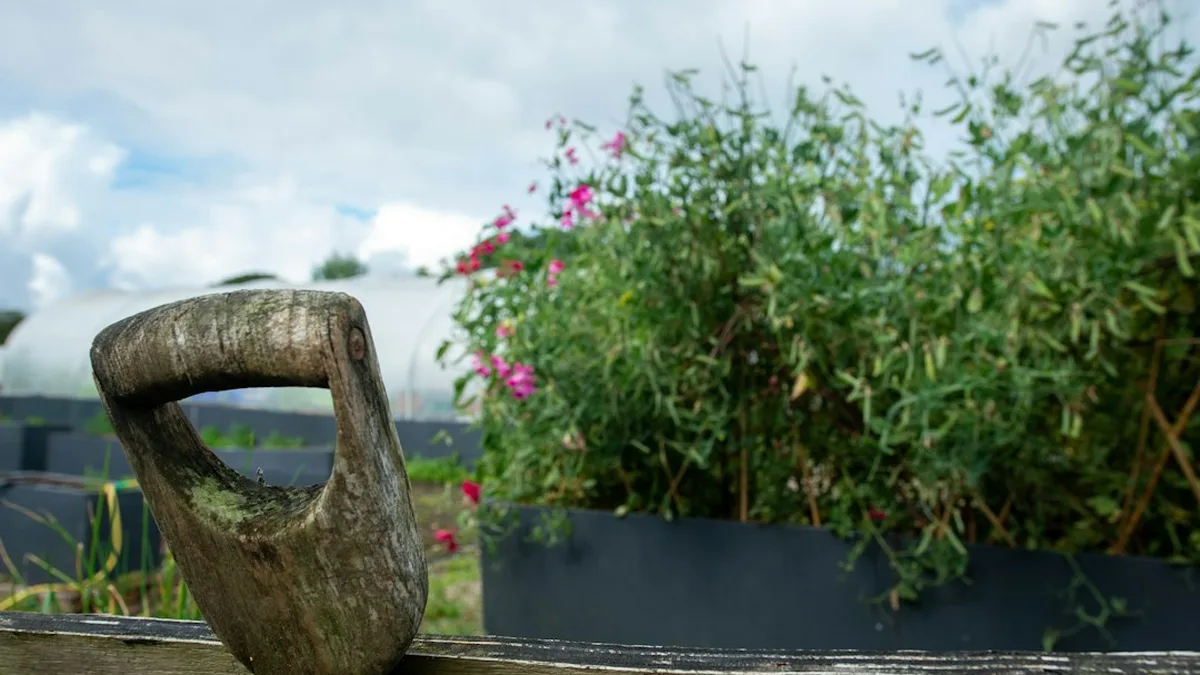 Potager surélevé en bois